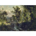 Behang / Natural History tapéta