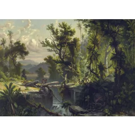 Behang / Natural History tapéta