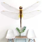 Behang / Natural History tapéta