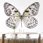 Behang / Natural History tapéta