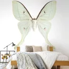 Behang / Natural History tapéta