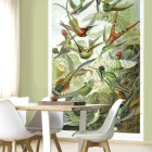 Behang / Natural History tapéta