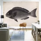 Behang / Natural History tapéta