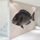 Behang / Natural History tapéta