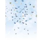 Behang / Natural History tapéta