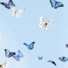 Behang / Natural History tapéta