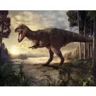 Behang / Natural History tapéta