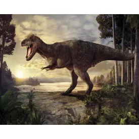 Behang / Natural History tapéta