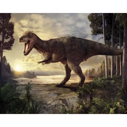 Behang / Natural History tapéta