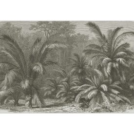 Behang / Natural History tapéta