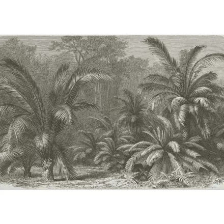 Behang / Natural History tapéta