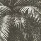 Behang / Natural History tapéta