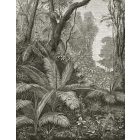 Behang / Natural History tapéta