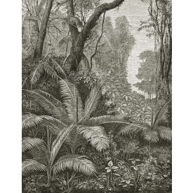 Behang / Natural History tapéta