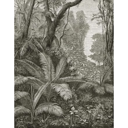 Behang / Natural History tapéta