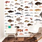 Behang / Natural History tapéta