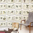 Behang / Natural History tapéta