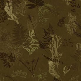 Behang / Natural History tapéta