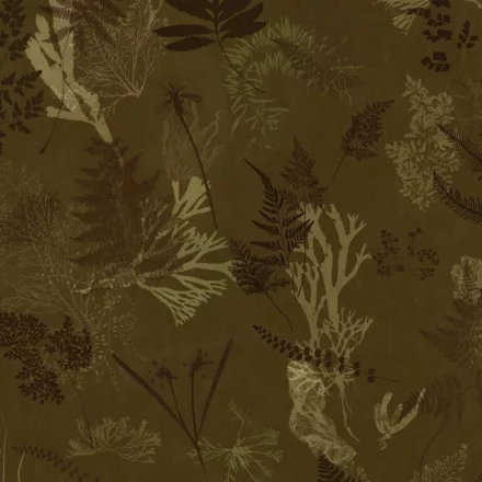 Behang / Natural History tapéta