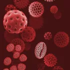 Behang / Natural History tapéta