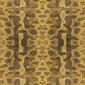 Behang / Natural History tapéta