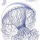 Behang / Natural History tapéta