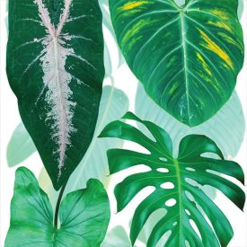 Behang / Natural History tapéta