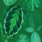 Behang / Natural History tapéta