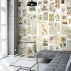 Behang / Natural History tapéta