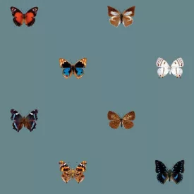 Behang / Natural History tapéta