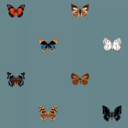 Behang / Natural History tapéta