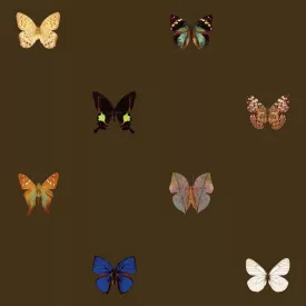 Behang / Natural History tapéta