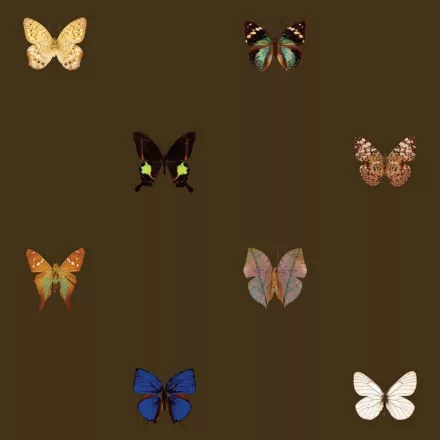 Behang / Natural History tapéta