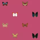 Behang / Natural History tapéta