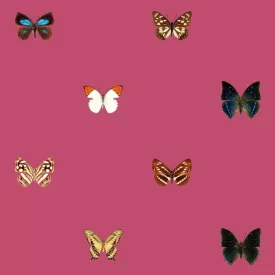 Behang / Natural History tapéta