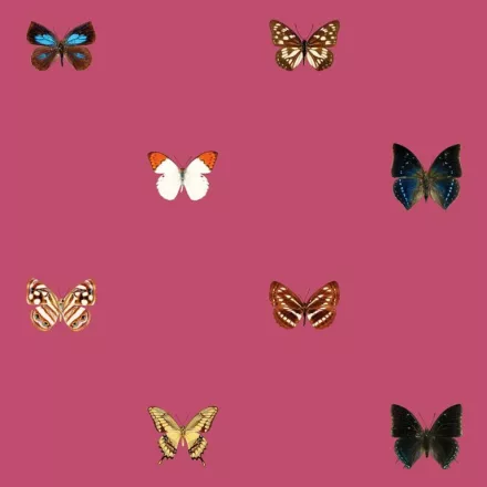 Behang / Natural History tapéta