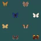 Behang / Natural History tapéta