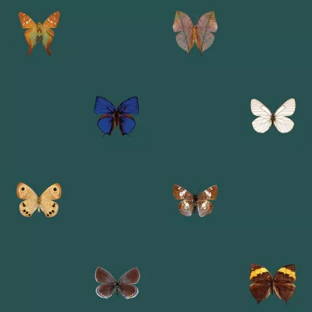 Behang / Natural History tapéta