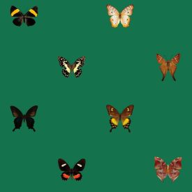 Behang / Natural History tapéta