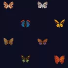 Behang / Natural History tapéta