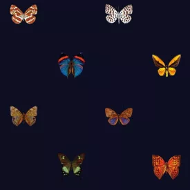 Behang / Natural History tapéta