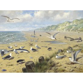 Behang / Natural History tapéta