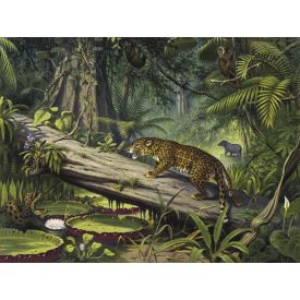 Behang / Natural History tapéta