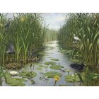 Behang / Natural History tapéta