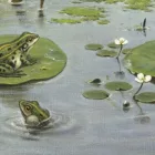 Behang / Natural History tapéta