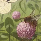 Behang / Natural History tapéta