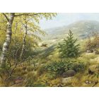 Behang / Natural History tapéta