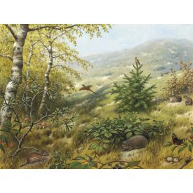 Behang / Natural History tapéta