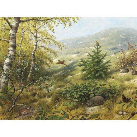 Behang / Natural History tapéta