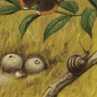 Behang / Natural History tapéta